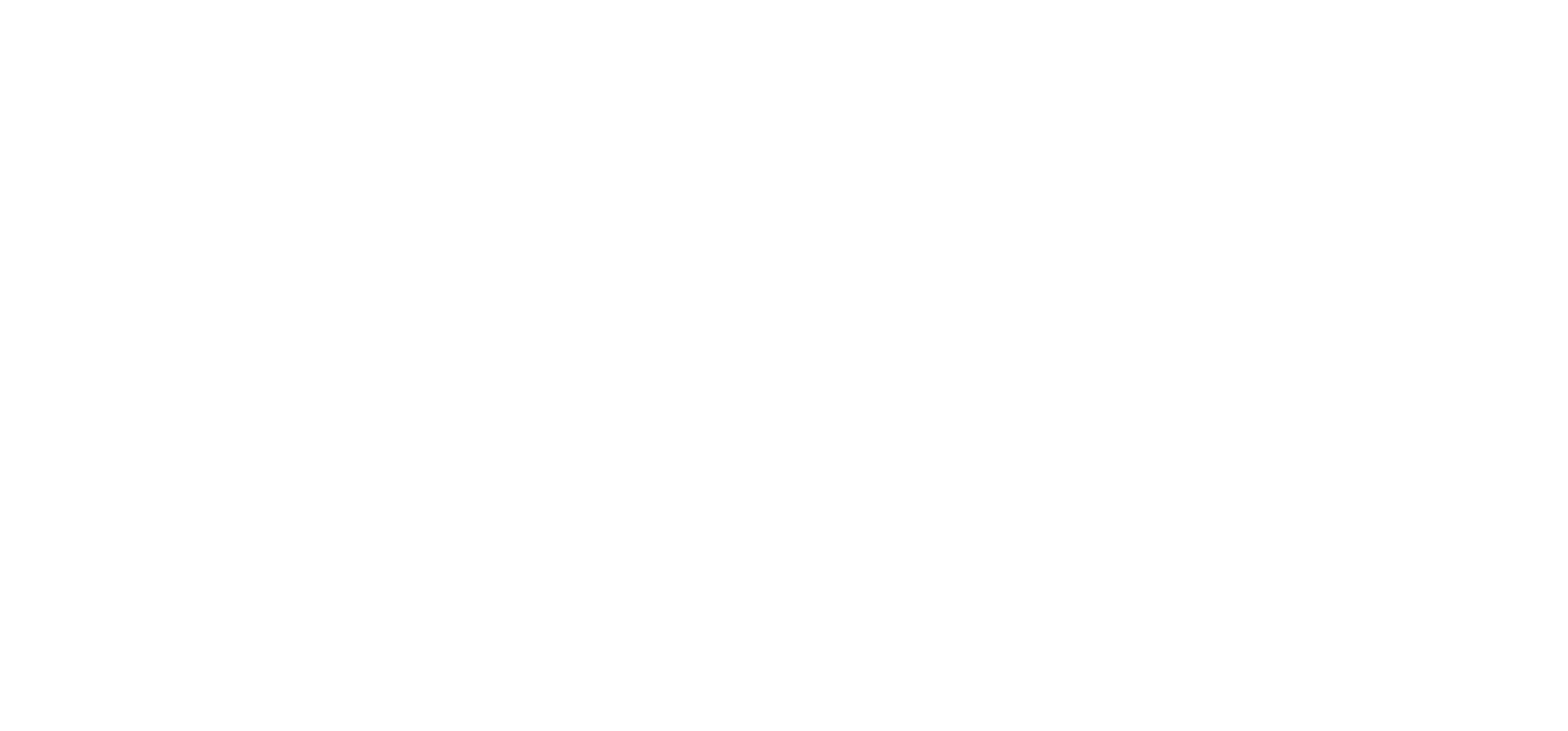 inet logo